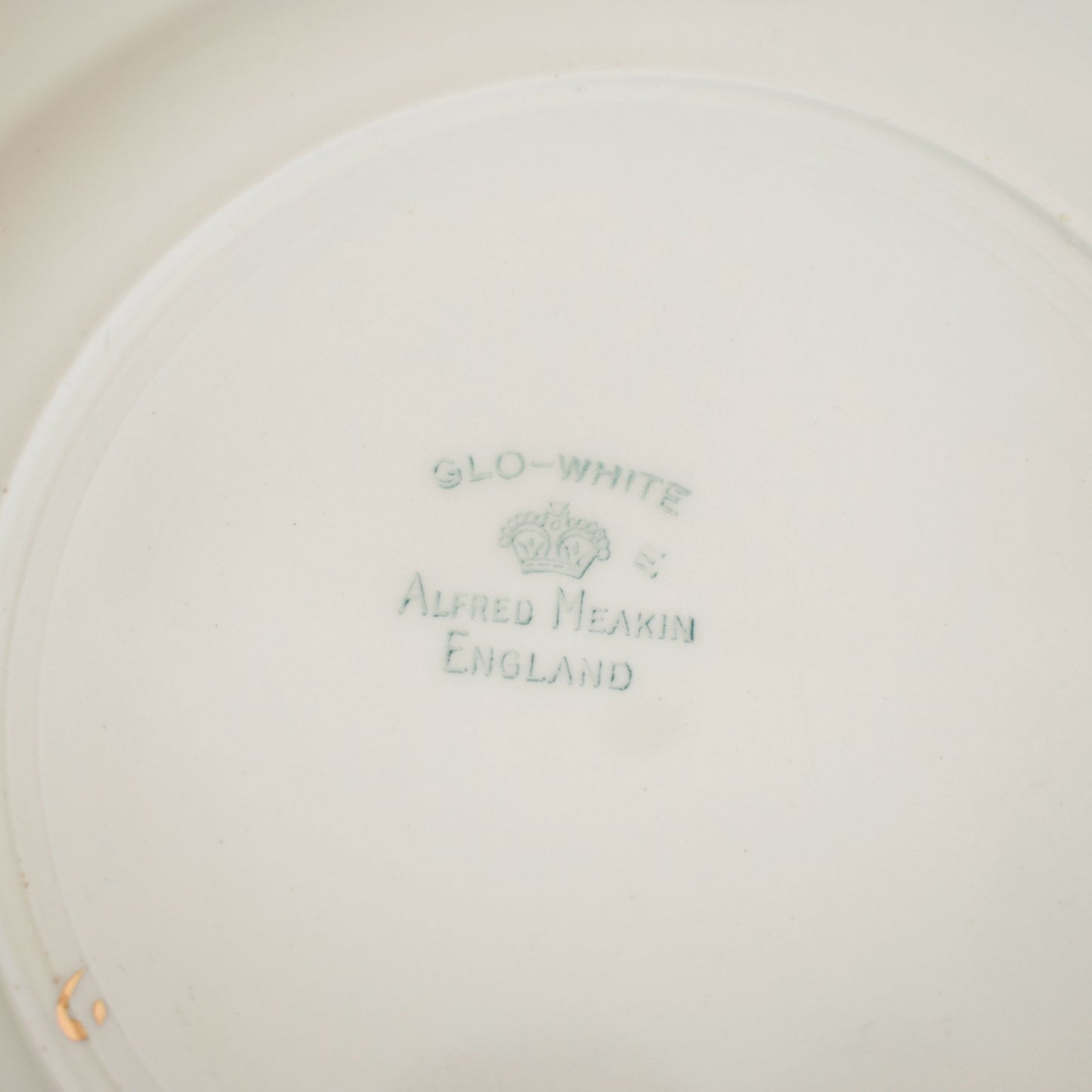 Vintage 1950s Kitsch Alfred Meakin Dinner Plates - Sea Breezes