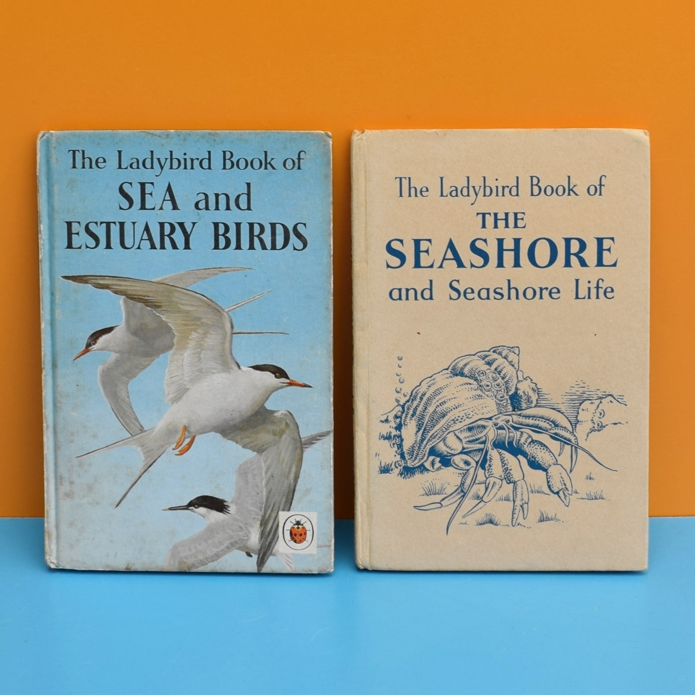 Vintage 1960s Ladybird Books - The Seashore / Sea Birds by Pineapple Retro