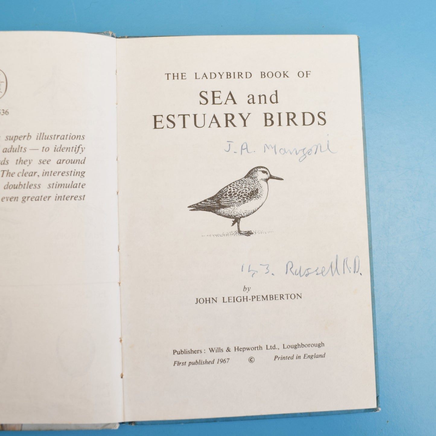 Vintage 1960s Ladybird Books - The Seashore / Sea Birds by Pineapple Retro