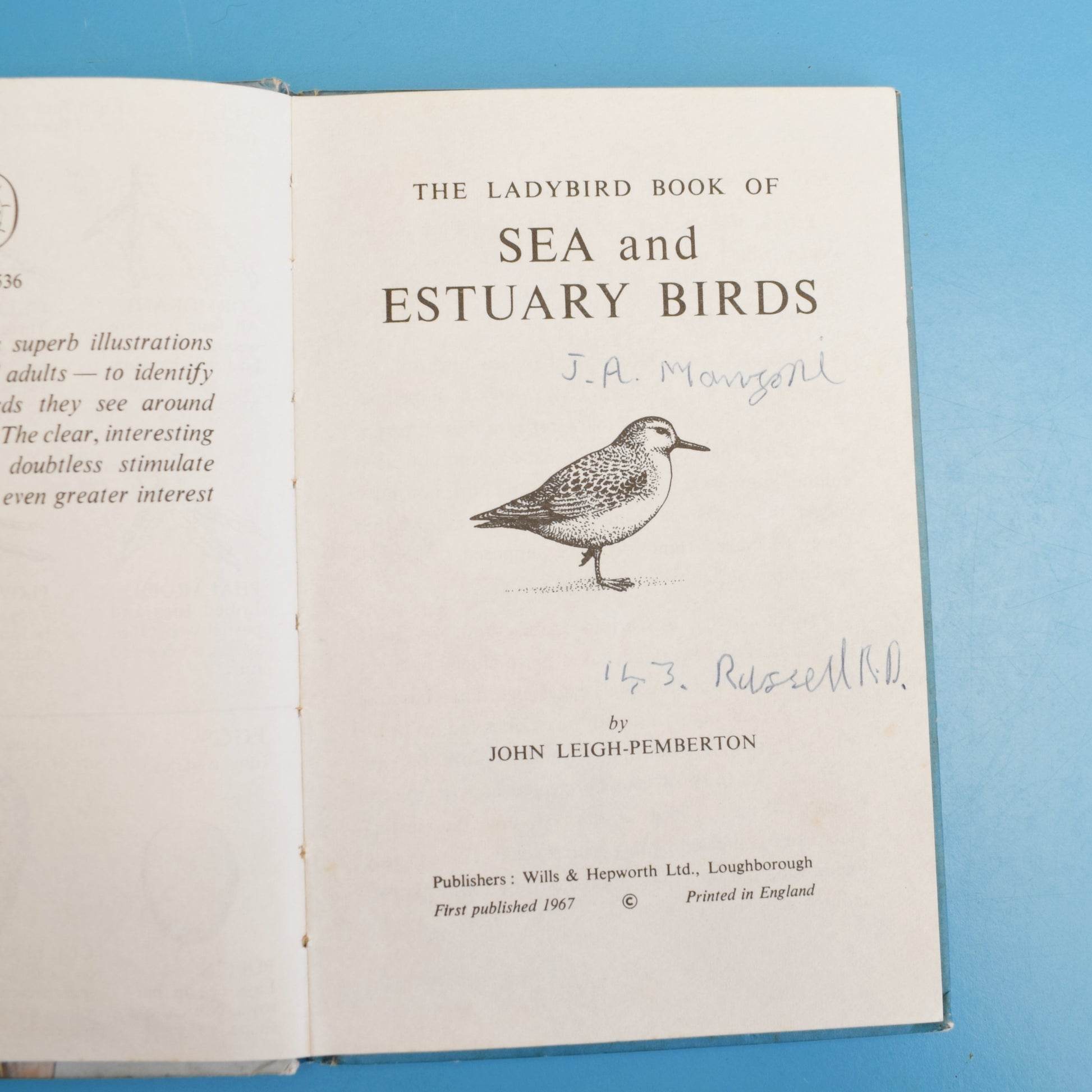 Vintage 1960s Ladybird Books - The Seashore / Sea Birds by Pineapple Retro