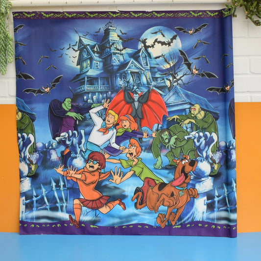 Vintage 1990s Vinyl Roll / Wall Art - Scooby Doo