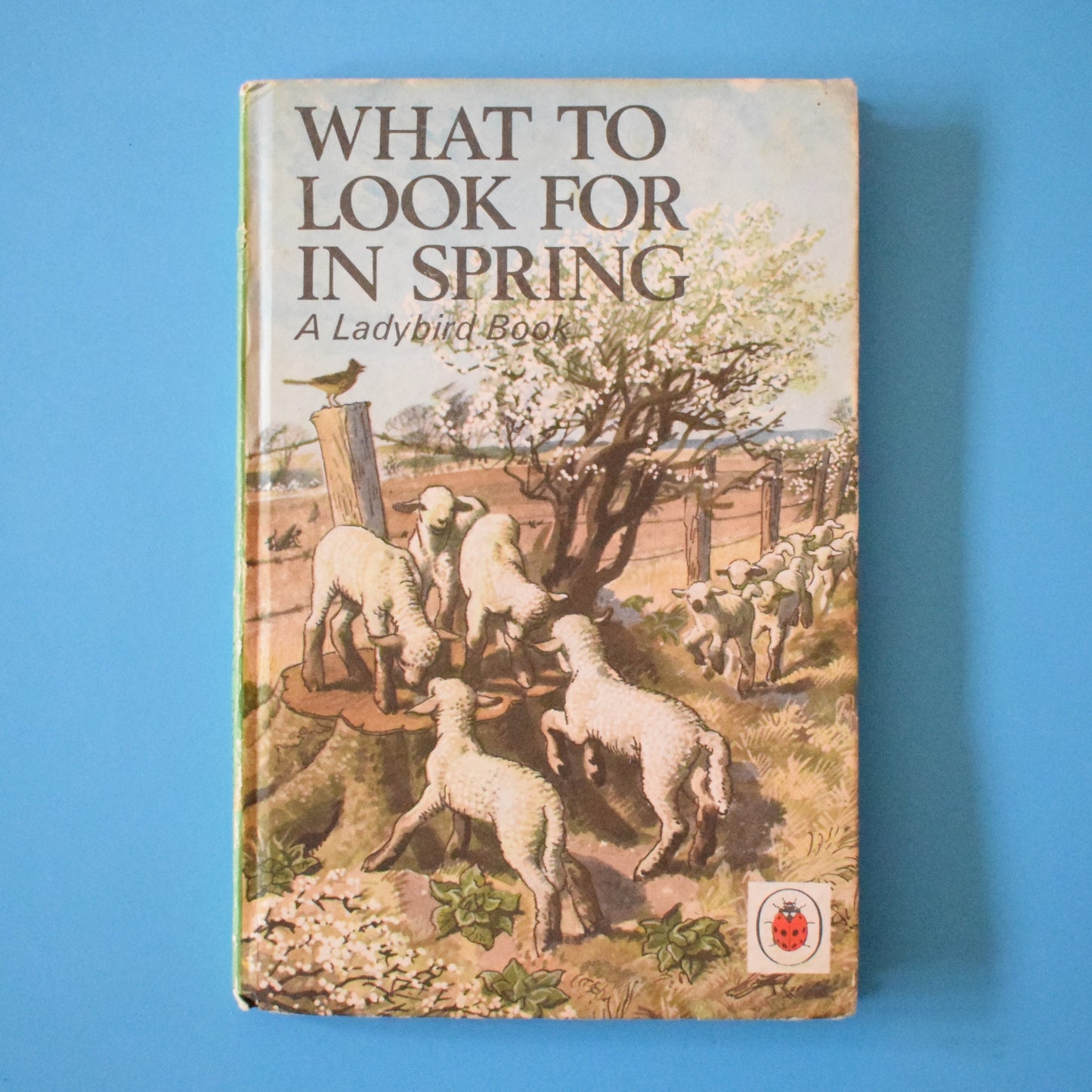 Vintage 1960s Ladybird Book - What to Look For In Spring