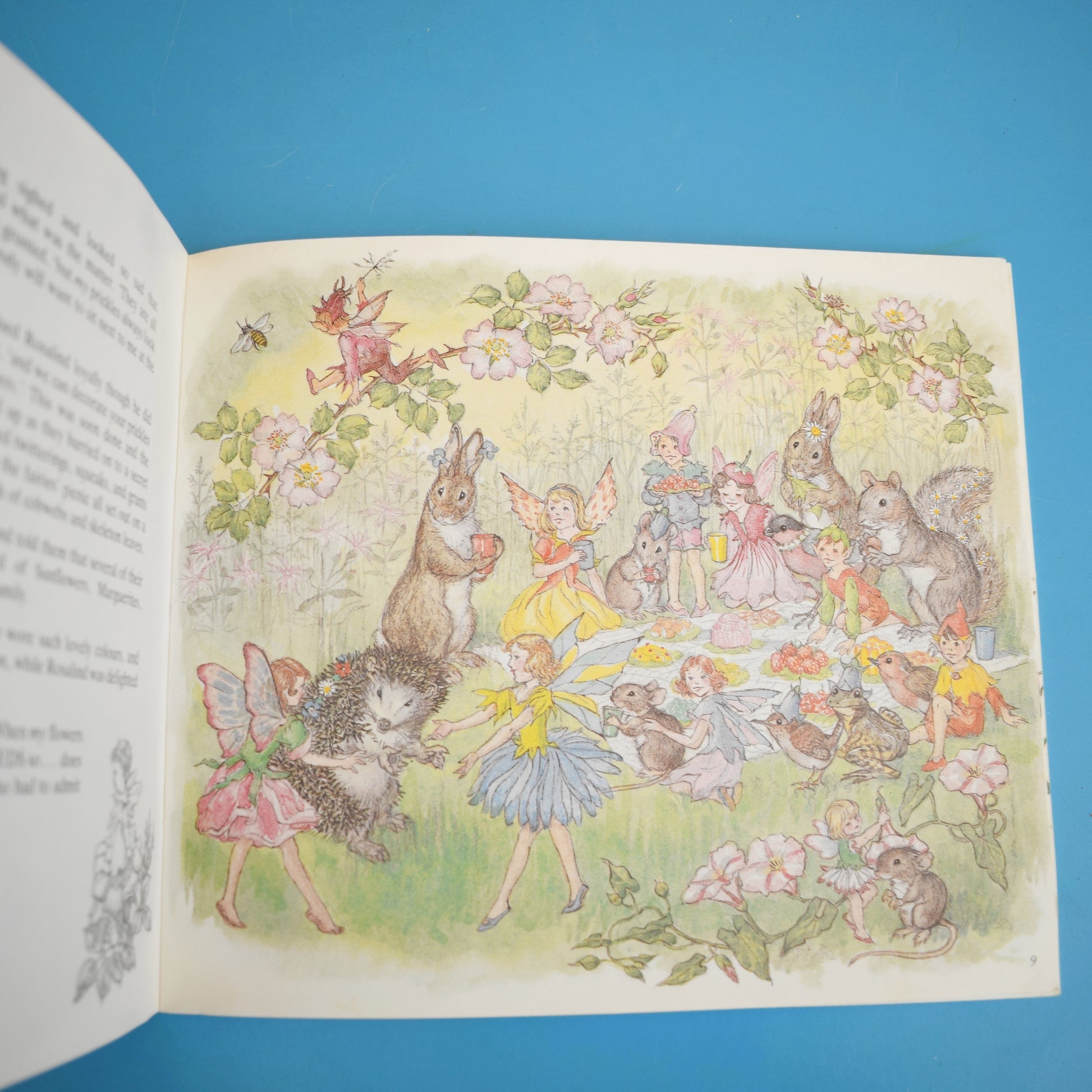 Vintage 1980s Flower Fairy Alphabet Book / The Runaway Fairy - Molly Brett by Vintage