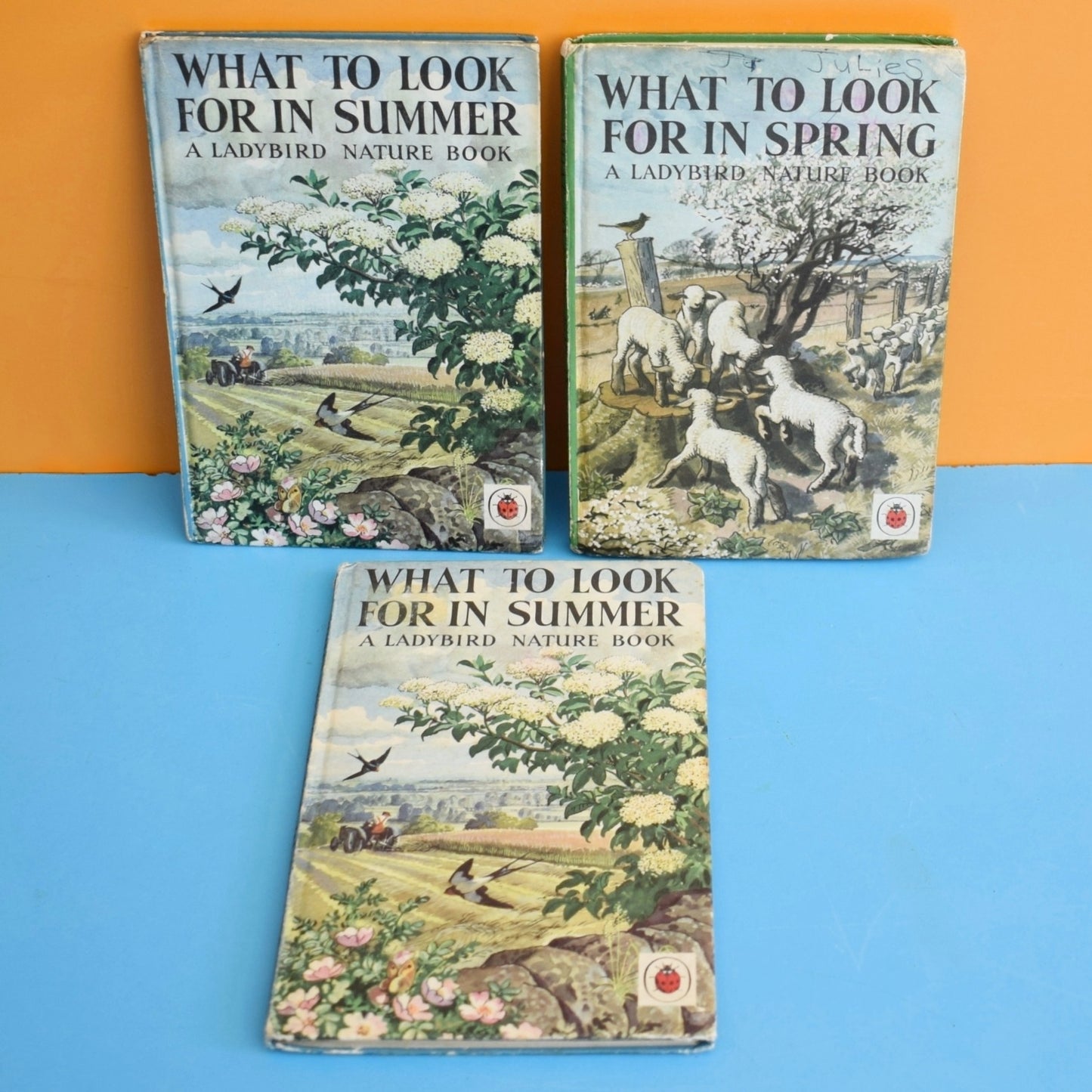 Vintage 1960s Ladybird Book - What to Look For In Spring / Summer by Pineapple Retro