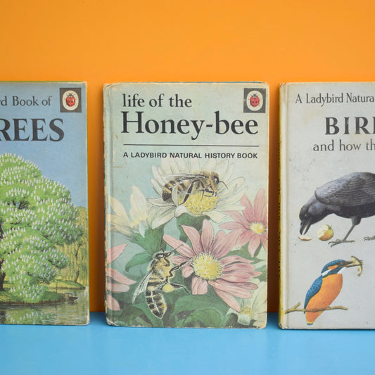 Vintage Ladybird Books - Trees / Life of the Honey Bee / Birds