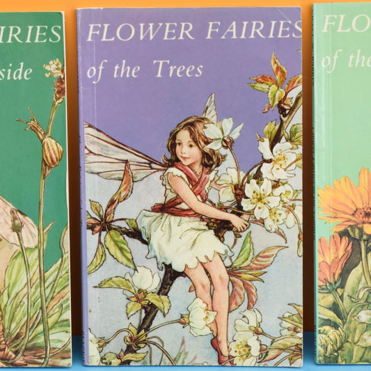 Vintage 1980s Flower Fairy Books