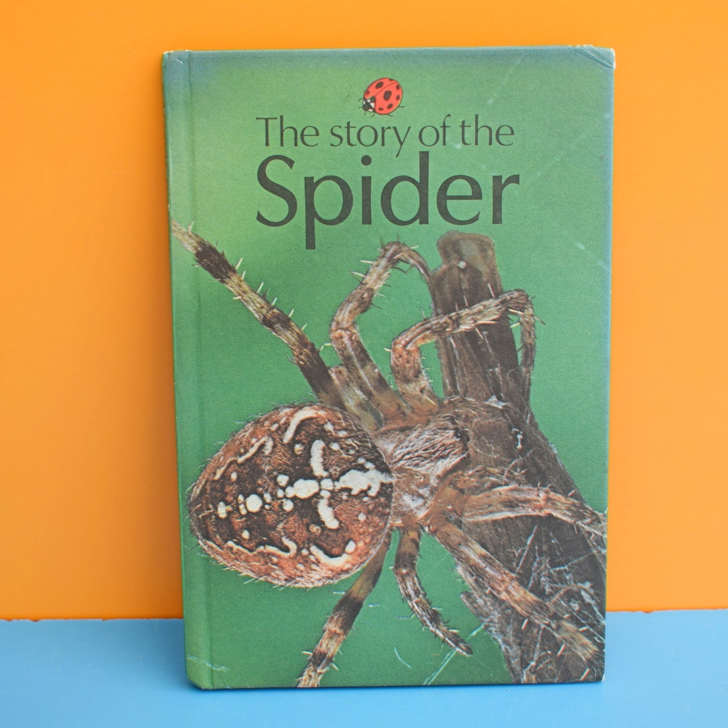 Vintage 1980s Ladybird Book - Spiders