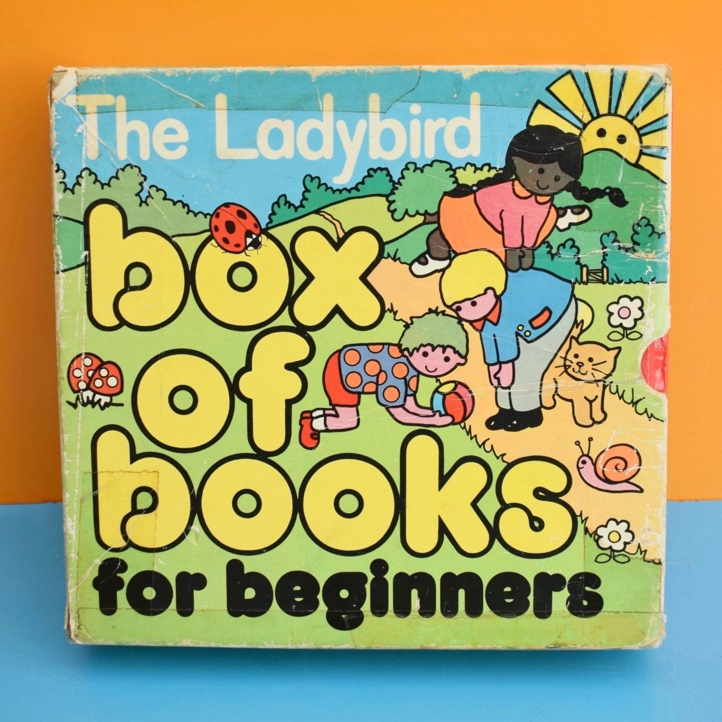 Vintage 1980s Ladybird Books -  Box Of Books For Beginners - Lynn Grundy