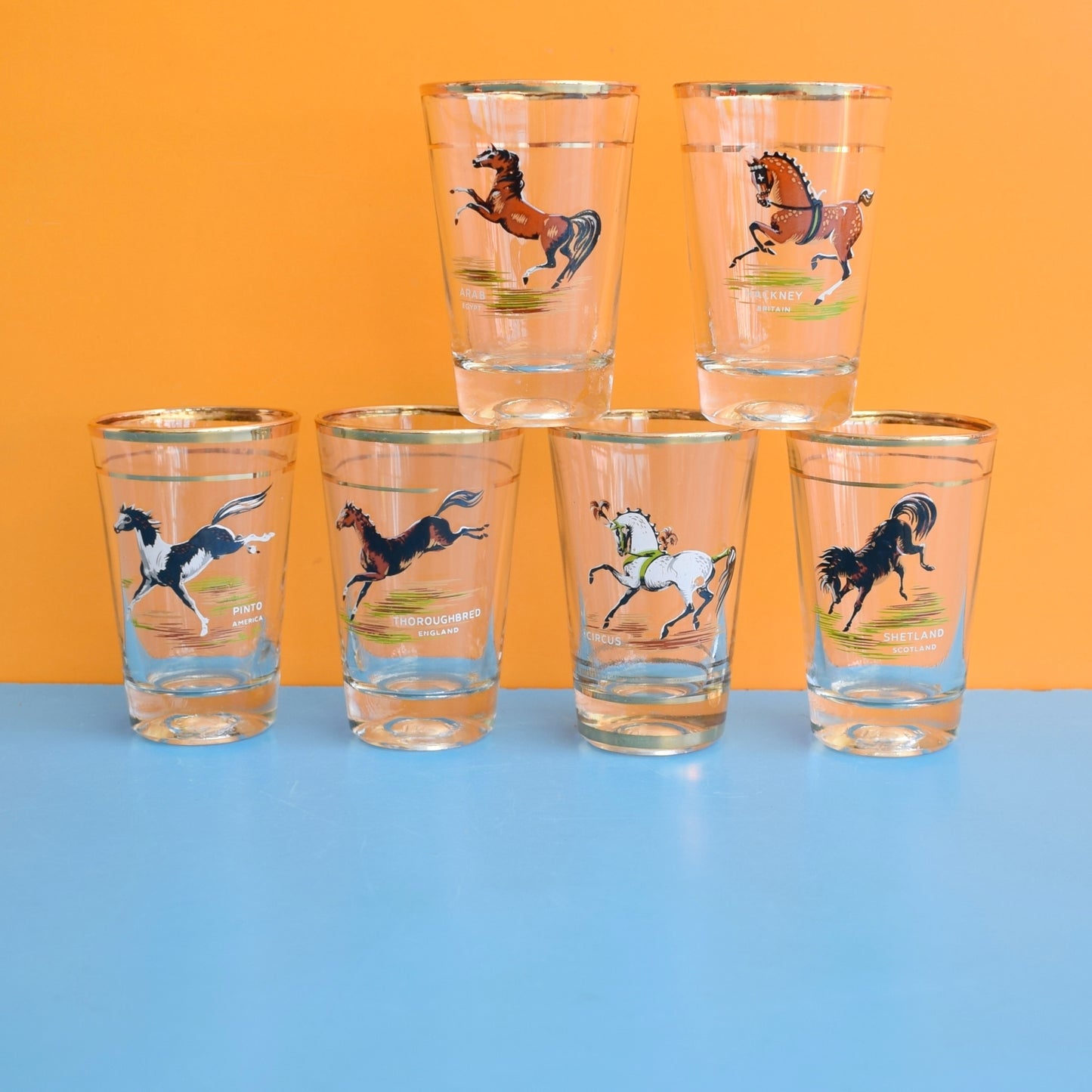 Vintage 1950s Tot Drinking Glass Set - Horses by Vintage