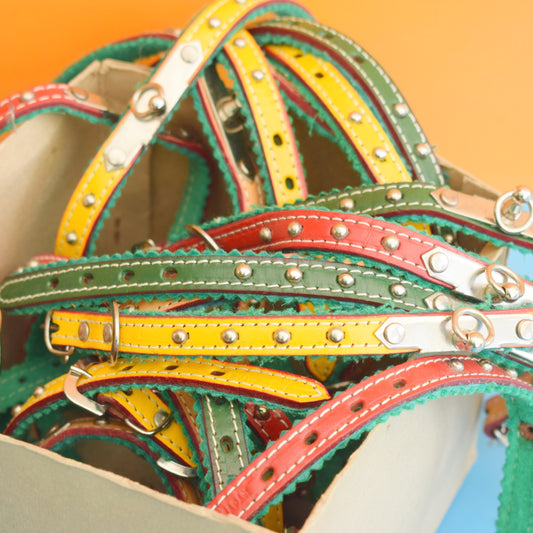 Vintage 1960s Dog / Cat / Small Animal Collars & Leash - Unused