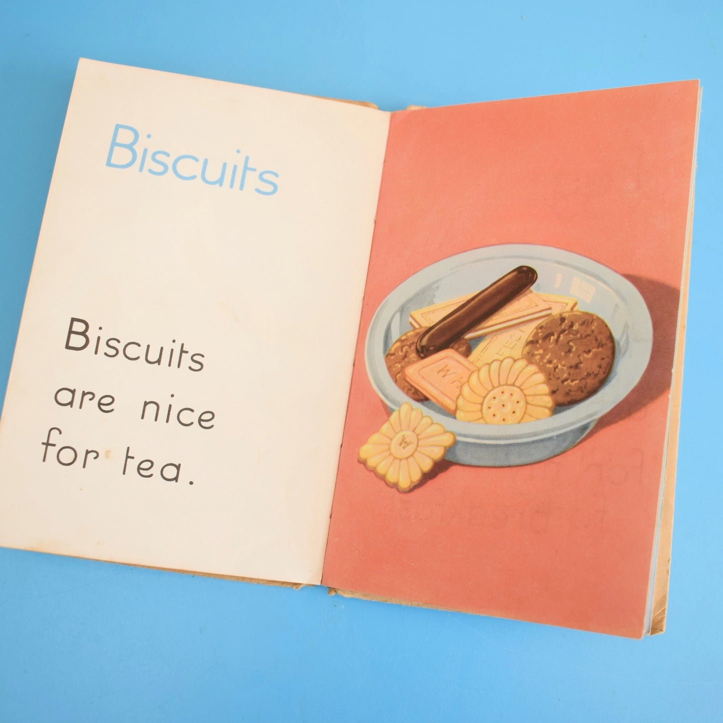 Vintage 1950s Damaged Ladybird Books For Craft