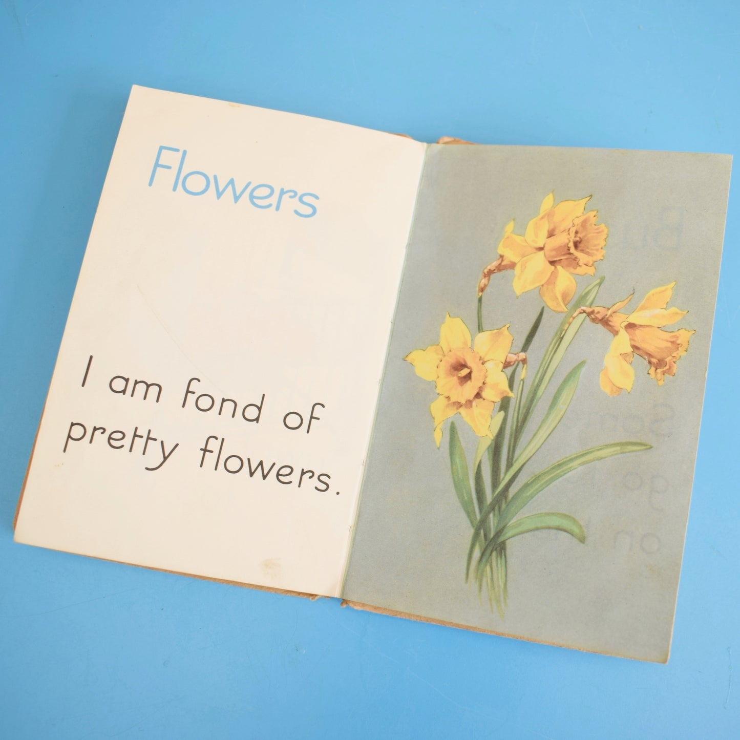 Vintage 1950s Damaged Ladybird Books For Craft