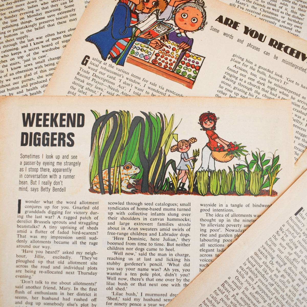 Vintage 1970s Magazine Articles - Belinda Lyon Illustration Pages by Pineapple Retro