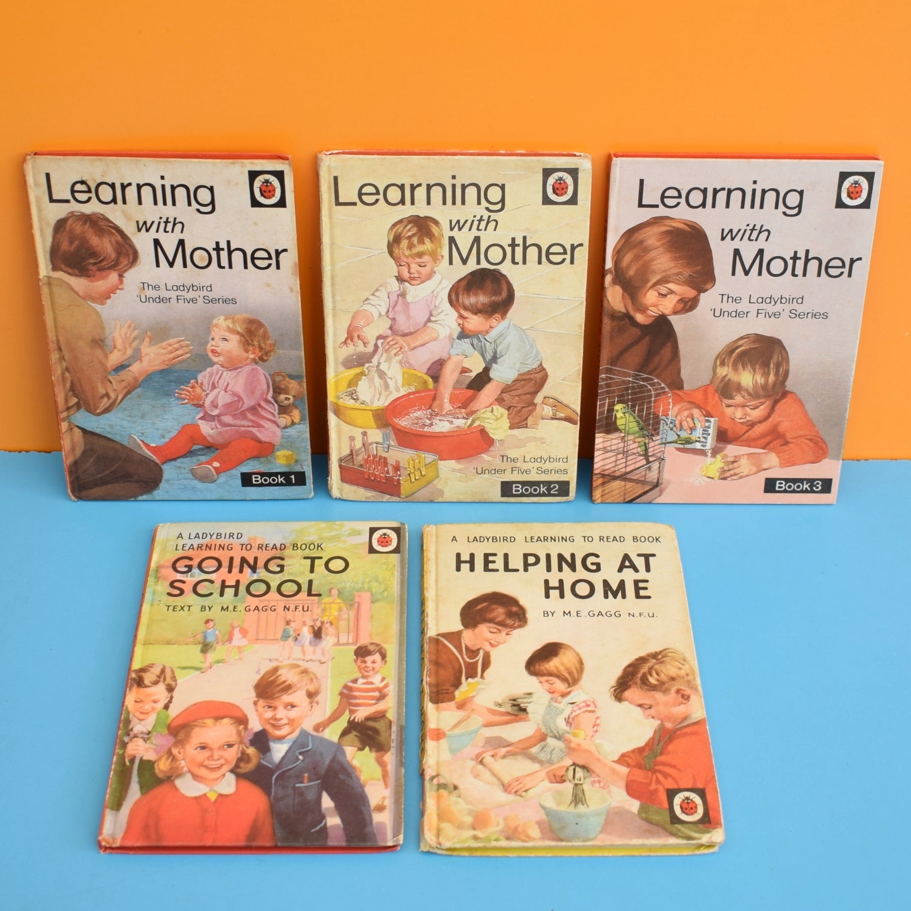 Vintage Ladybird Books - Learning To Read by Pineapple Retro