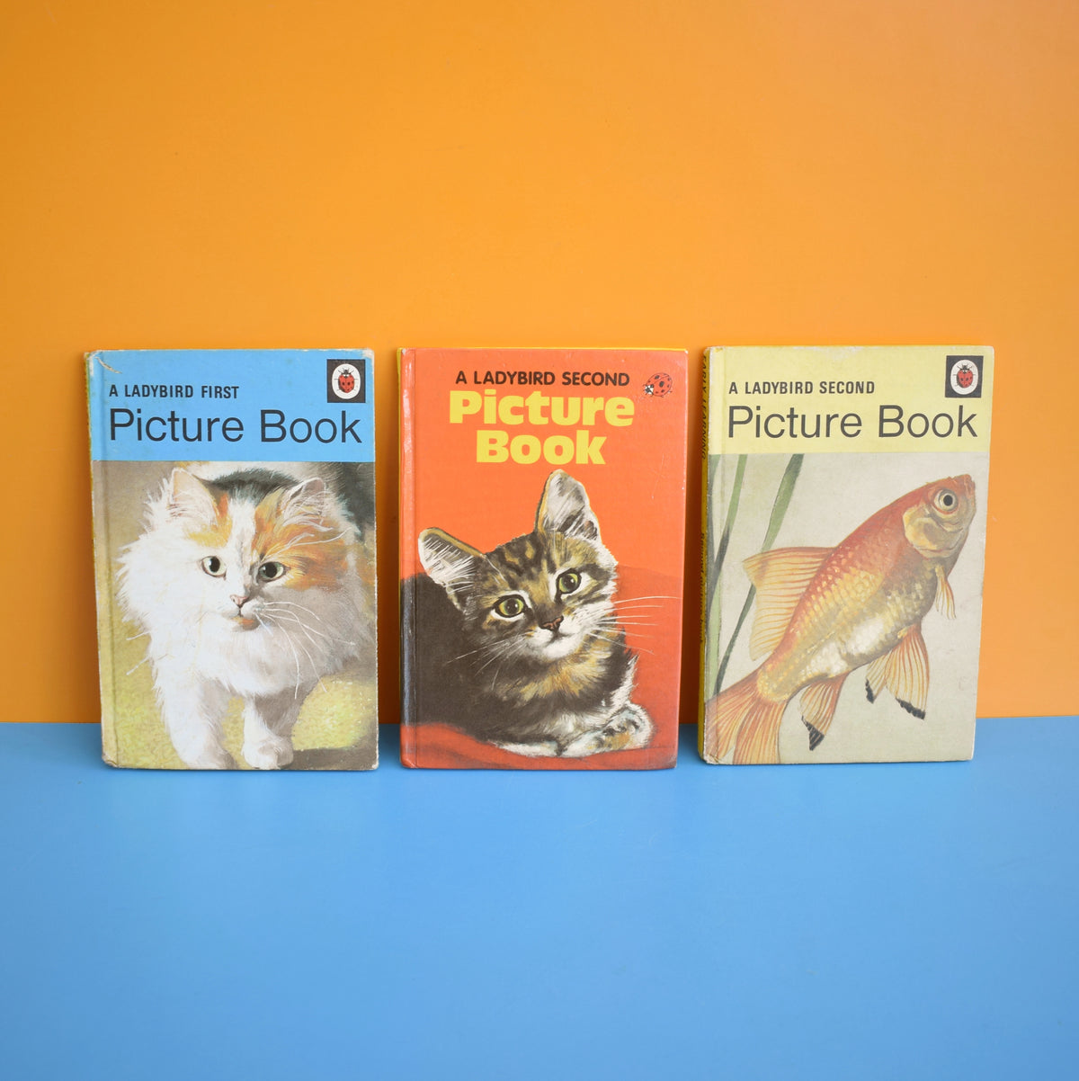 Vintage Ladybird Books - Picture Book - First & Second Picture Books by Pineapple Retro