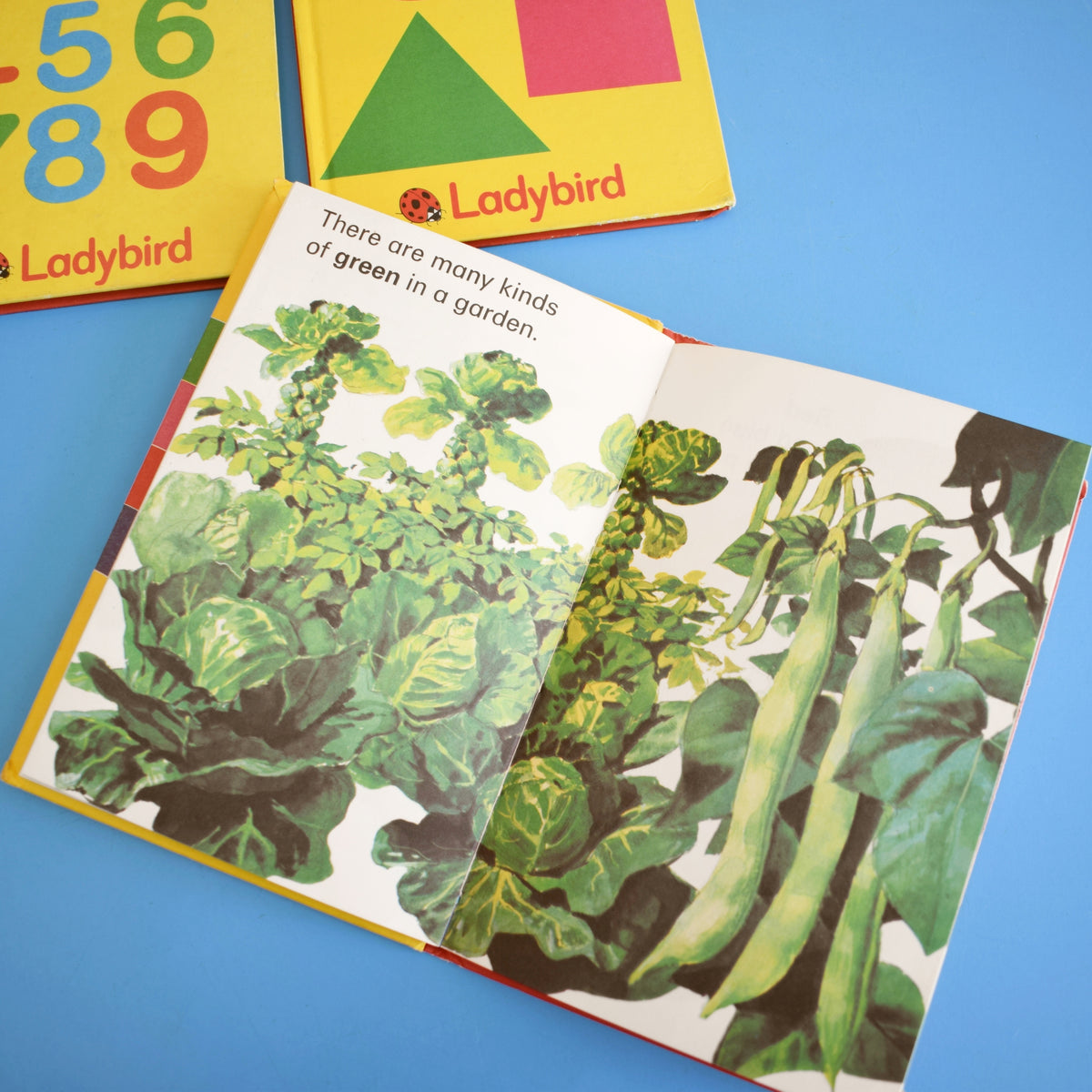 Vintage 1980s Ladybird Books - Colours, Counting, Big and Little x4 by Pineapple Retro