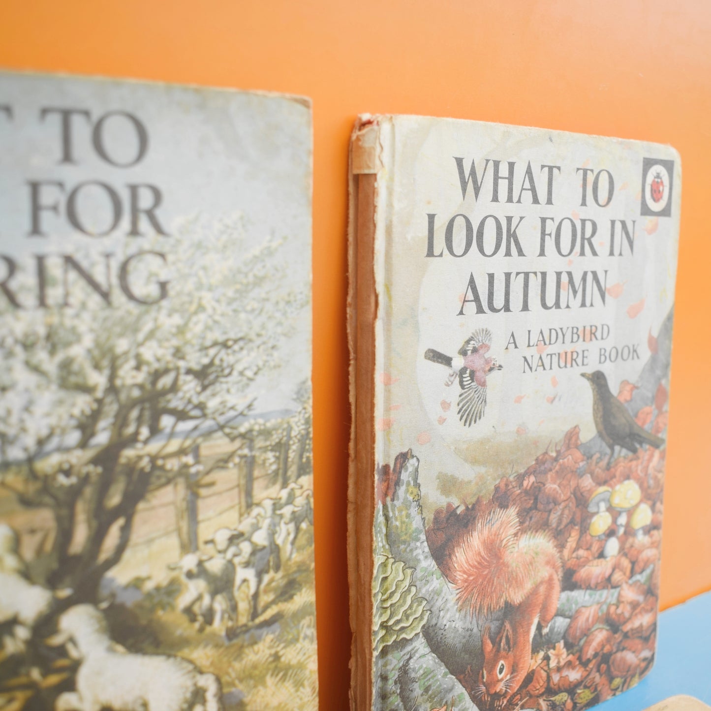 Vintage 1960s Ladybird Books - What to Look For In Spring, Summer, Autumn, Winter