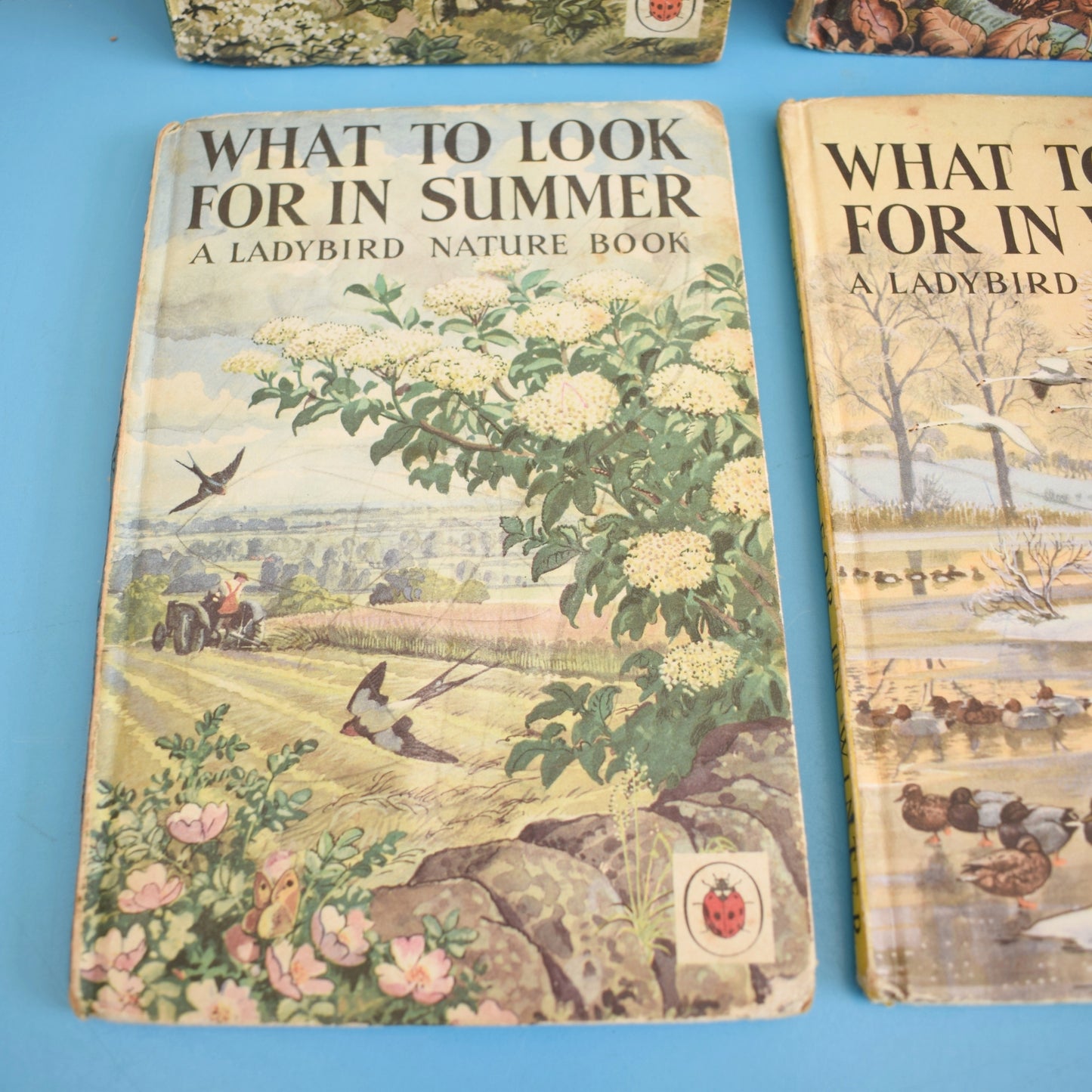 Vintage 1960s Ladybird Books - What to Look For In Spring, Summer, Autumn, Winter
