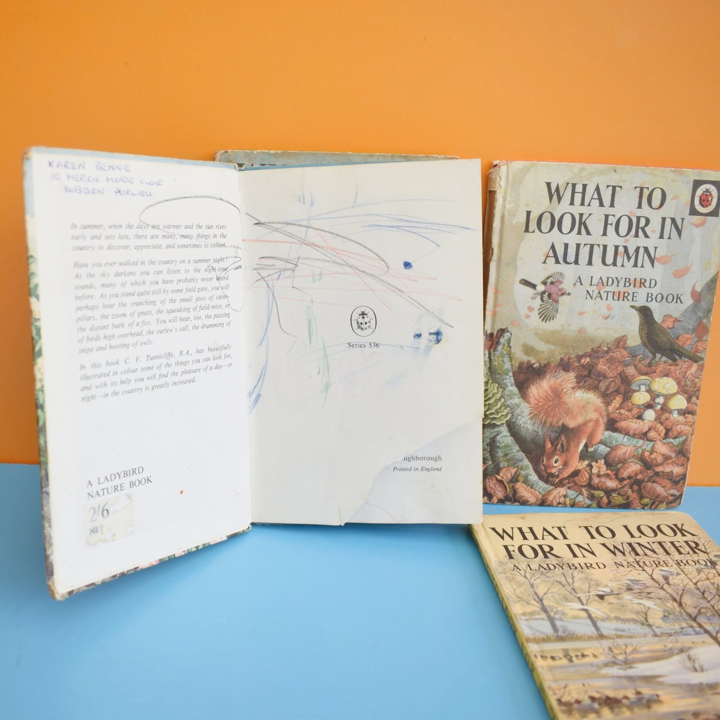 Vintage 1960s Ladybird Books - What to Look For In Spring, Summer, Autumn, Winter