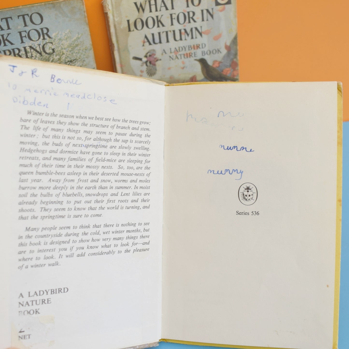 Vintage 1960s Ladybird Books - What to Look For In Spring, Summer, Autumn, Winter