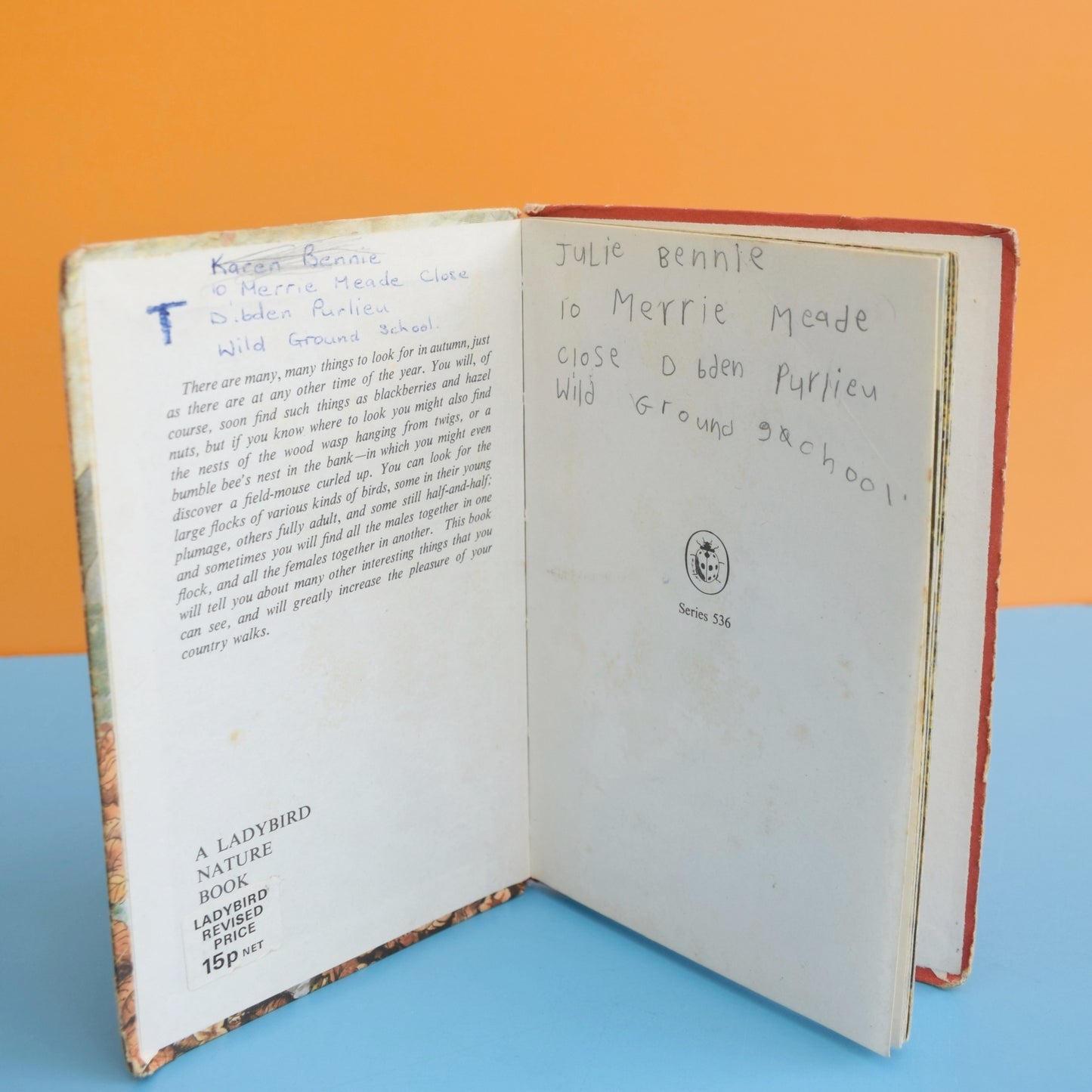 Vintage 1960s Ladybird Books - What to Look For In Spring, Summer, Autumn, Winter