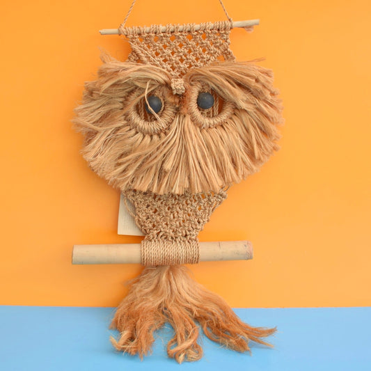 Vintage 1970s Macrame Owl Wall Hanging - Indian