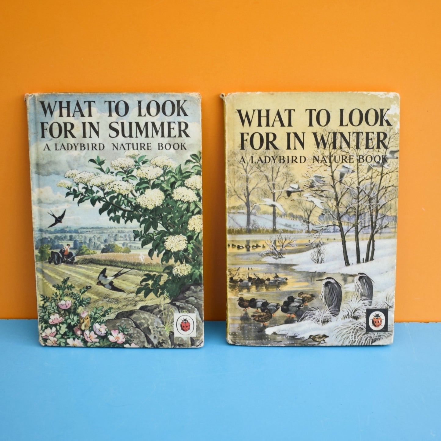 Vintage Ladybird Book - Winter / Summer