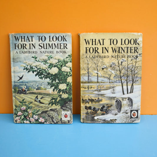 Vintage Ladybird Book - Winter / Summer by Pineapple Retro