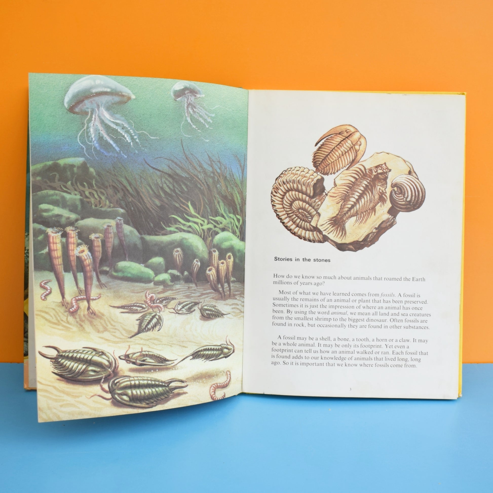 Vintage 1970s Dinosaurs and Prehistoric Animals Book - Jumbo Ladybird by Pineapple Retro