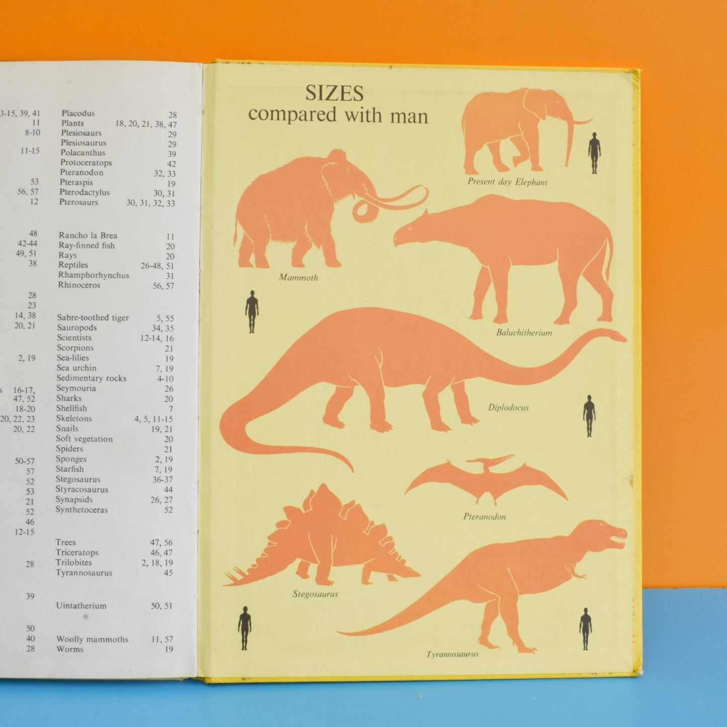 Vintage 1970s Dinosaurs and Prehistoric Animals Book - Jumbo Ladybird by Pineapple Retro