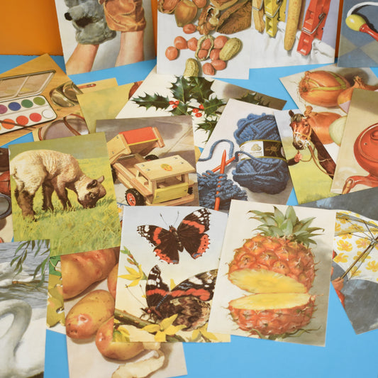 Vintage 1960s Ladybird Book Craft Pack- Great Graphics