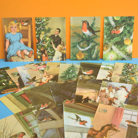 Vintage 1960s Ladybird Book Craft Pack- Christmas Robin by Pineapple Retro
