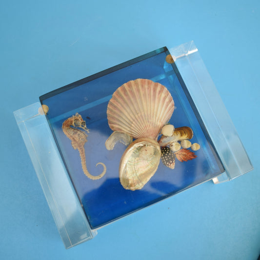 Vintage 1960s Lucite Box & Cocktail Spoon - Real Shell / Sea Horse by Vintage