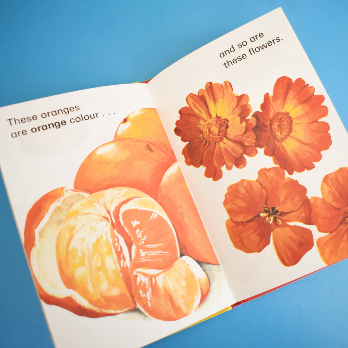 Vintage 1980s Ladybird Books - Colours, Counting, Big and Little x3