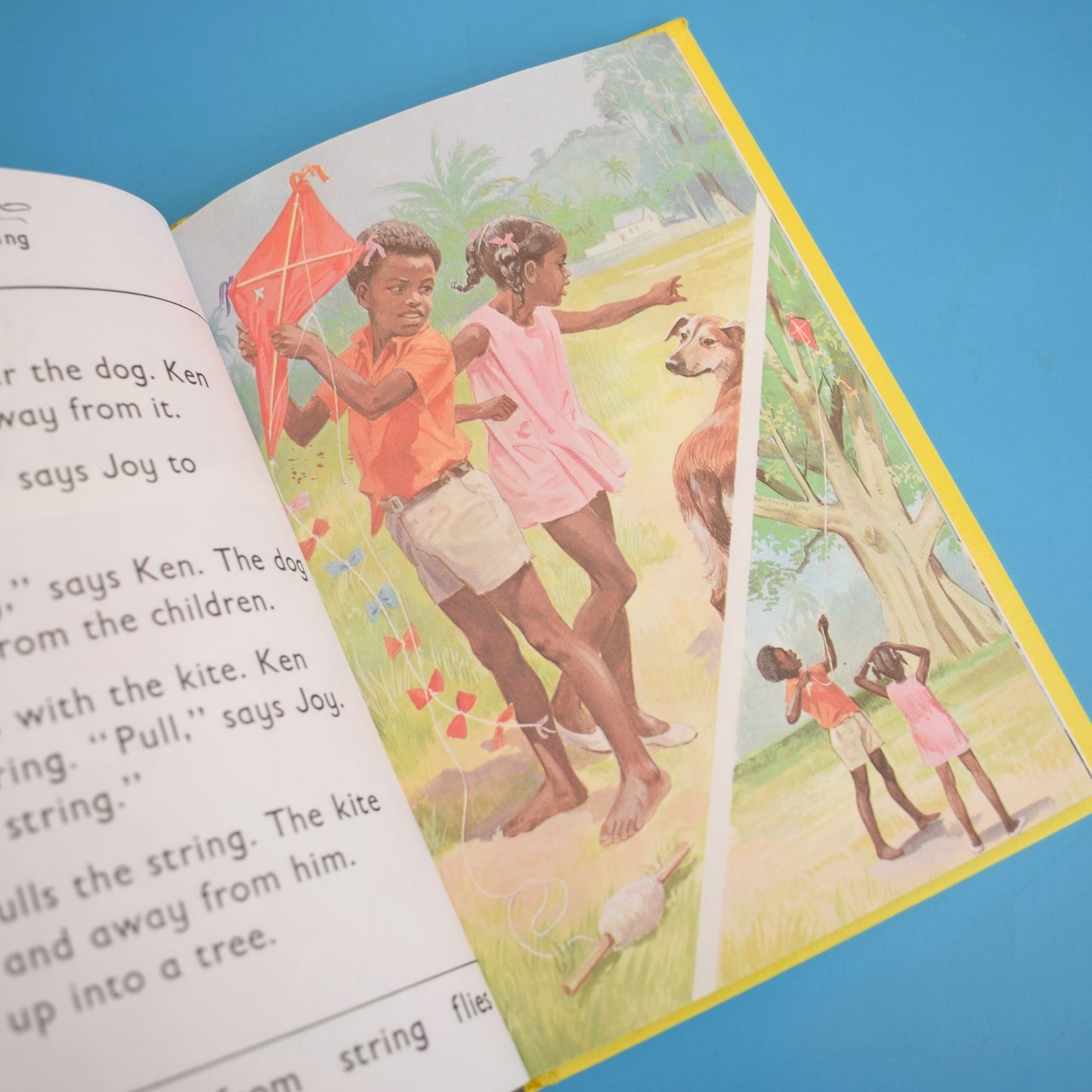 Vintage Ladybird Books - Sunstart Reading Scheme- The Kite