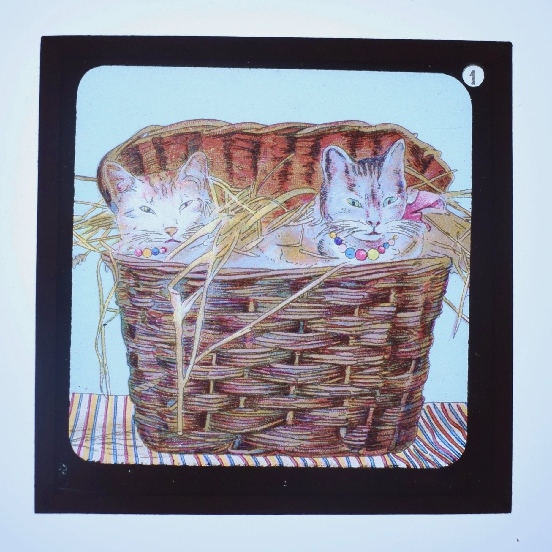 Vintage Victorian Magic Lantern Glass Slides - Anthropomorphic Animals x5 by Pineapple Retro