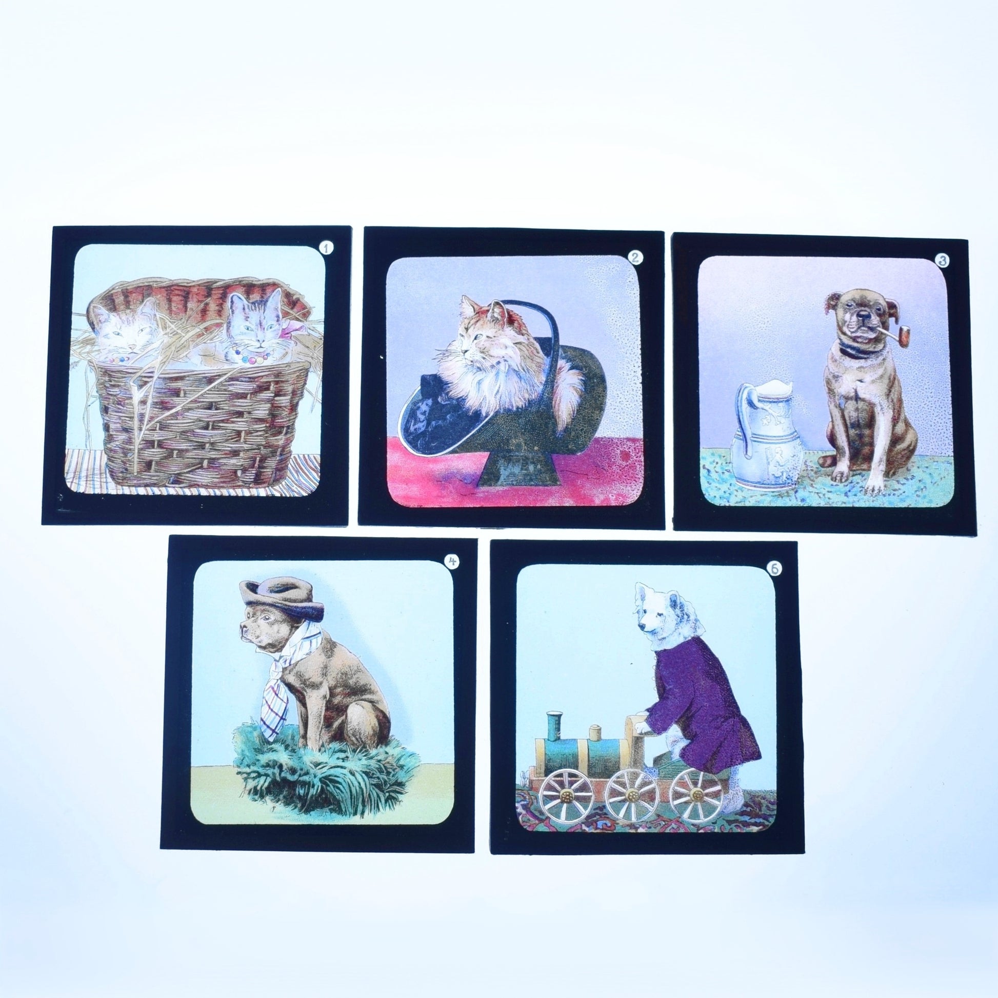 Vintage Victorian Magic Lantern Glass Slides - Anthropomorphic Animals x5 by Pineapple Retro