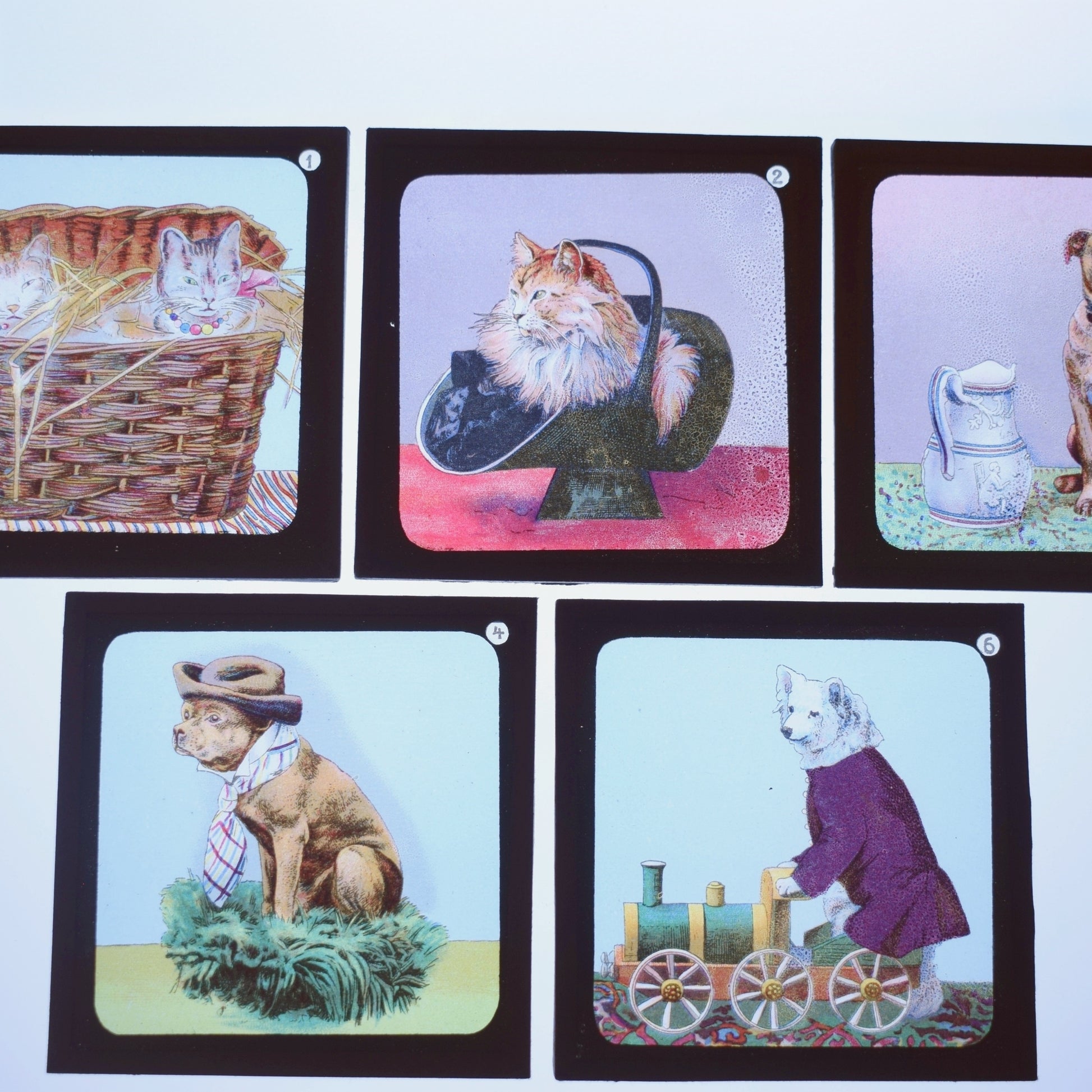 Vintage Victorian Magic Lantern Glass Slides - Anthropomorphic Animals x5 by Pineapple Retro