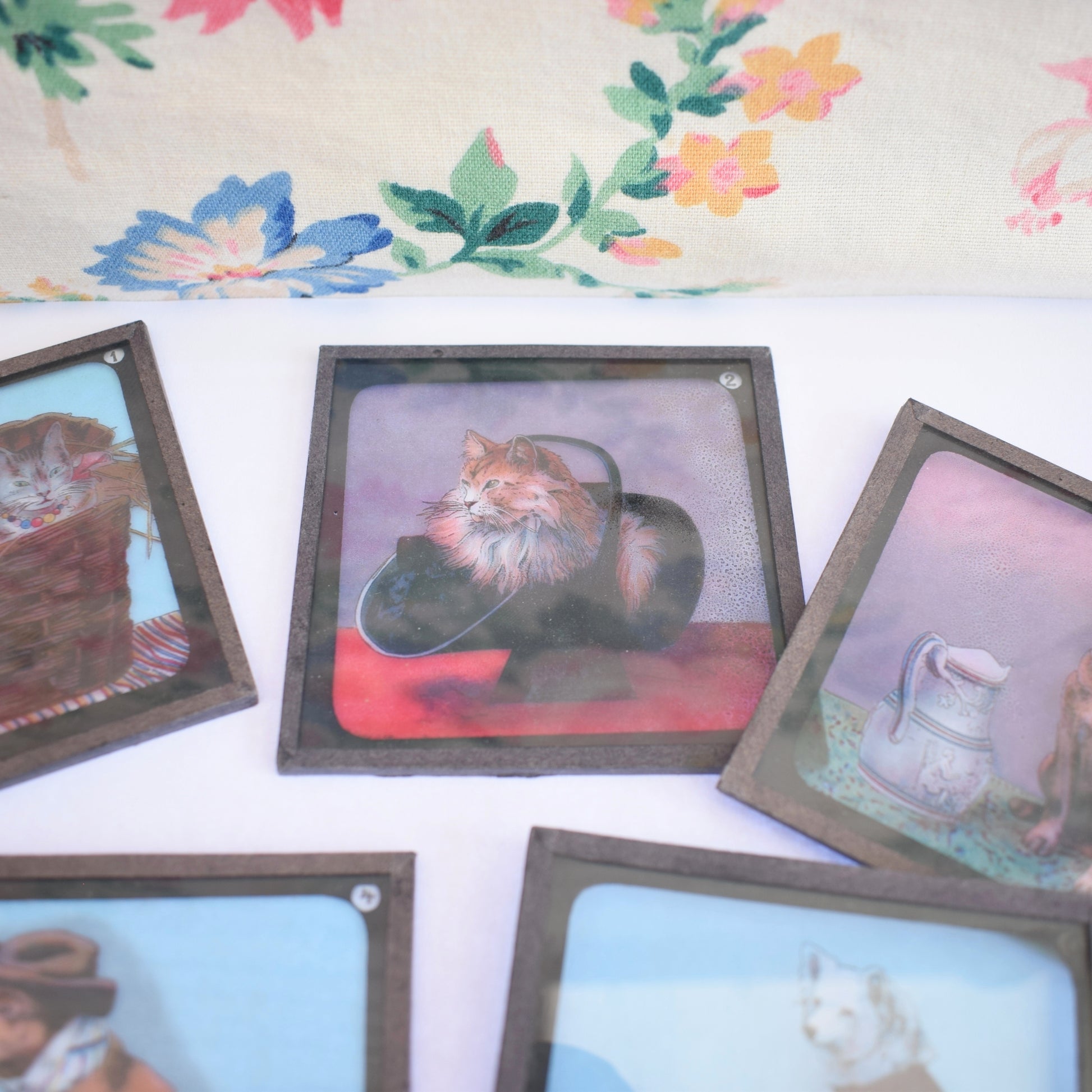 Vintage Victorian Magic Lantern Glass Slides - Anthropomorphic Animals x5 by Pineapple Retro