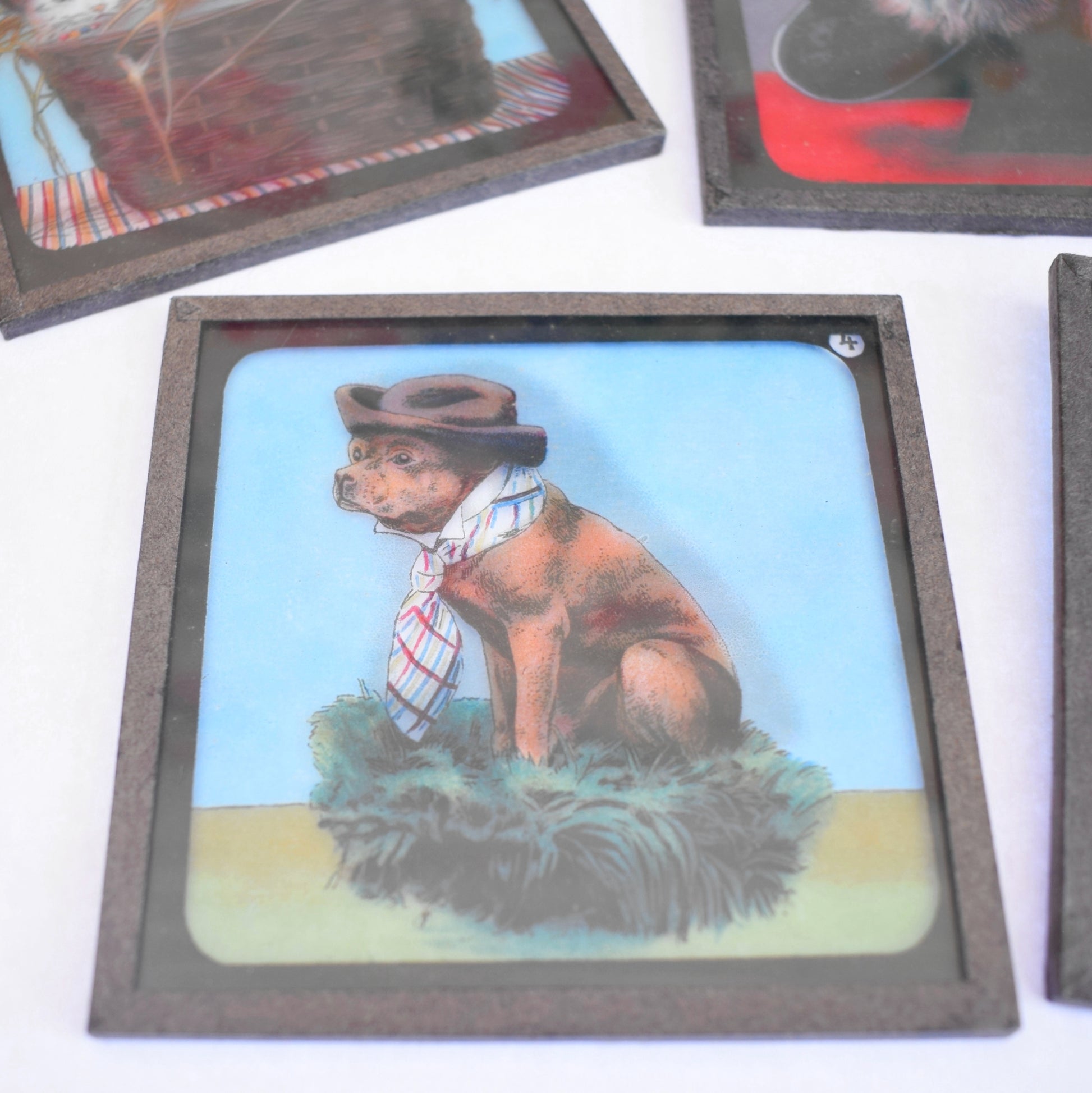 Vintage Victorian Magic Lantern Glass Slides - Anthropomorphic Animals x5 by Pineapple Retro