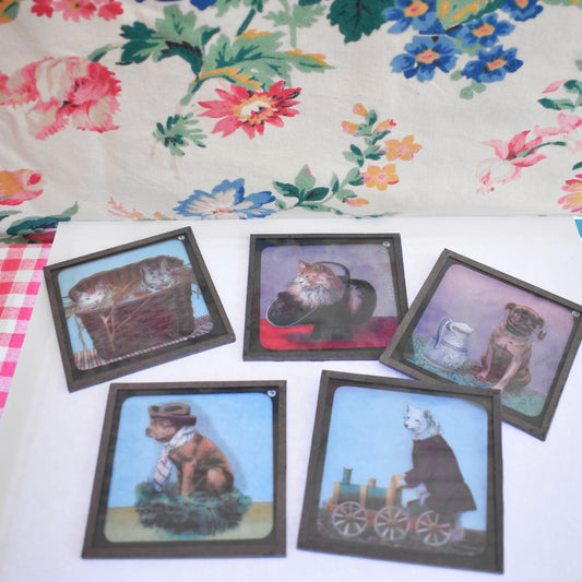 Vintage Victorian Magic Lantern Glass Slides - Anthropomorphic Animals x5
