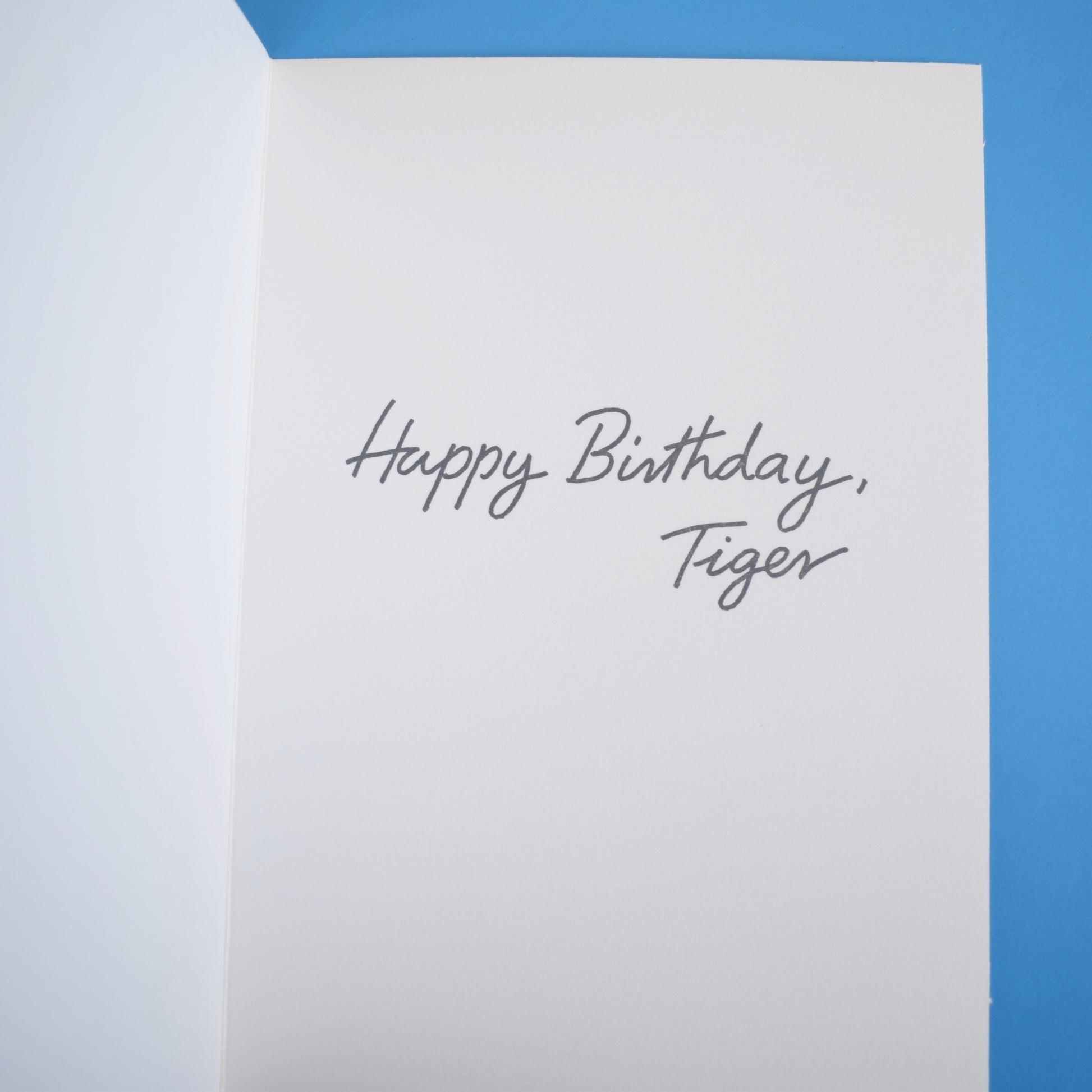Vintage 1970s Greeting Card - by Martin Leman - Ginger Tom Cat by Eric's Cards