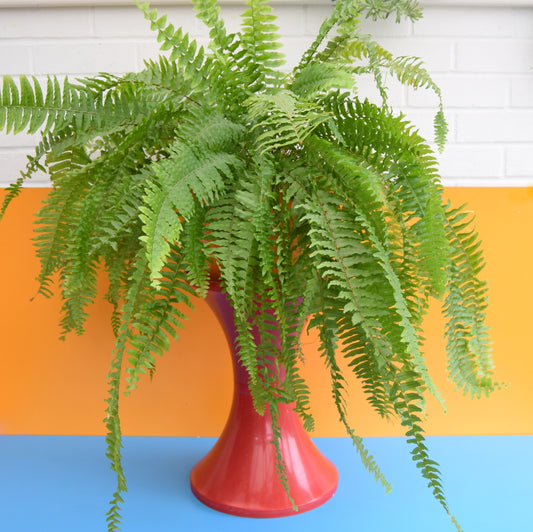 Vintage 1970s Plastic Tam Tam Stool / Planter - Red
