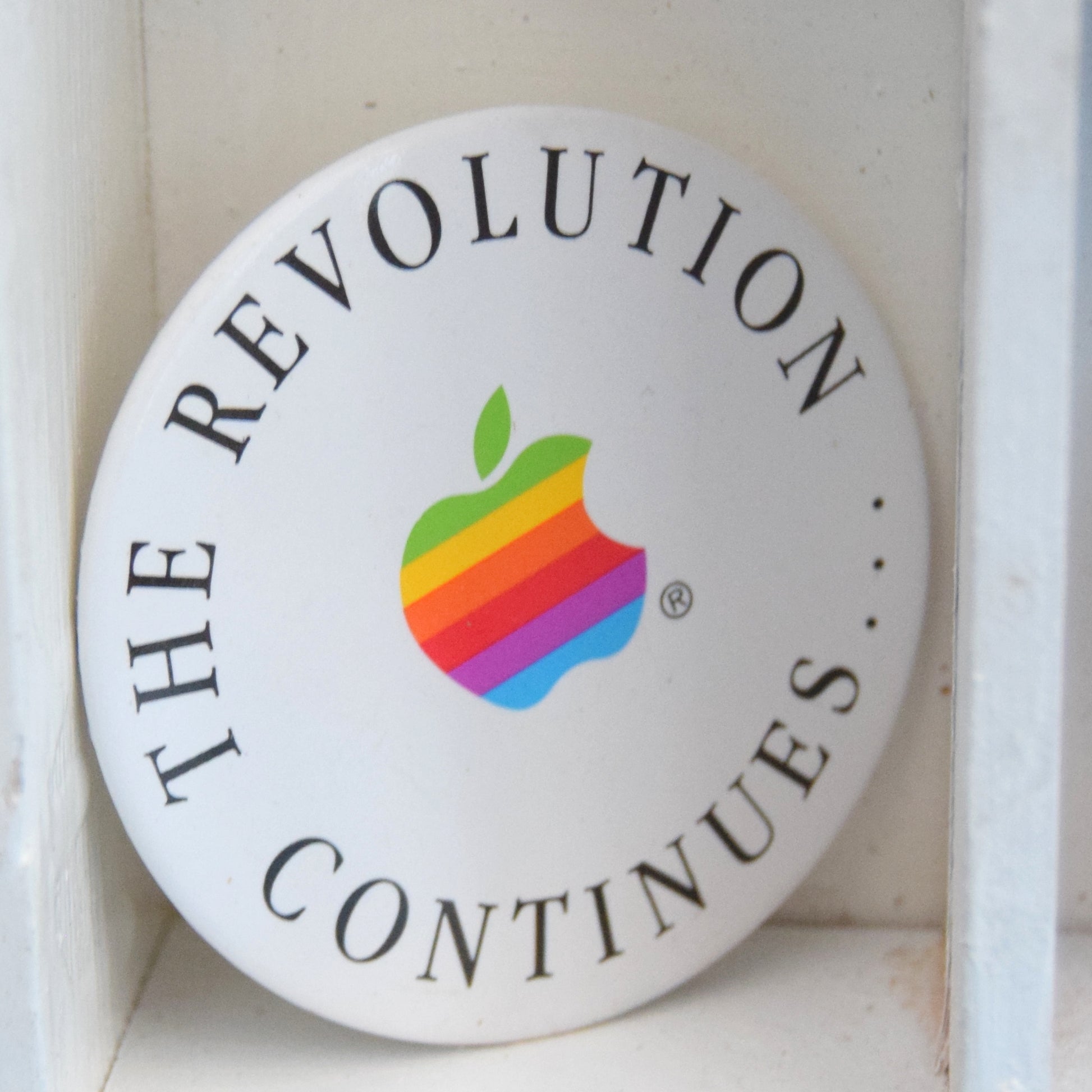 Vintage Badges - Ideal Printers Tray / Shelf Fillers - Miniature Collections by Pineapple Retro
