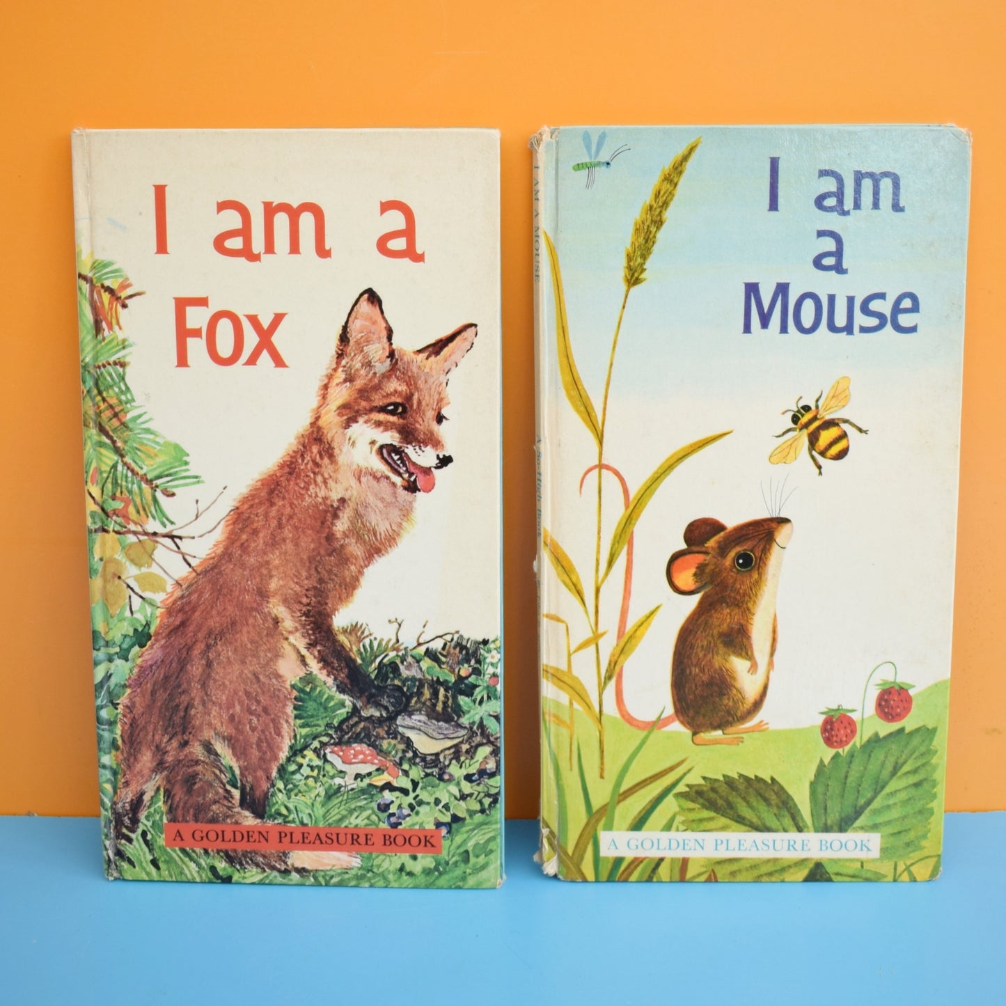 Vintage 1960s Books - I am A Fox / Mouse - Fab Illustrations by Pineapple Retro