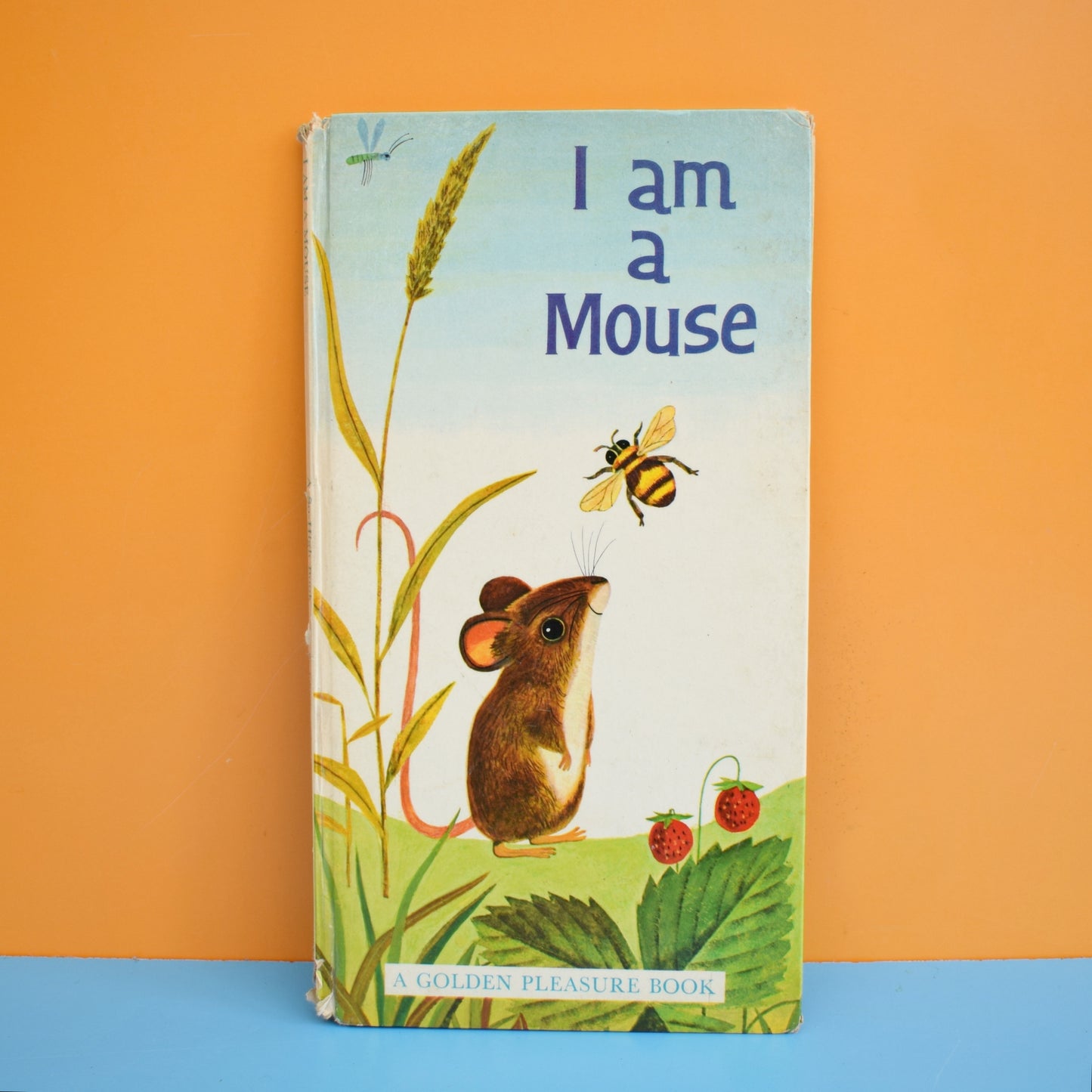 Vintage 1960s Books - I am A Fox / Mouse - Fab Illustrations by Pineapple Retro