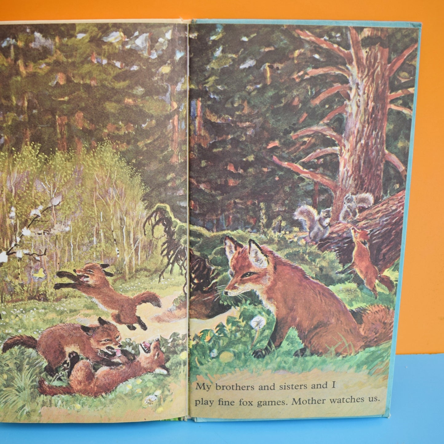 Vintage 1960s Books - I am A Fox / Mouse - Fab Illustrations by Pineapple Retro