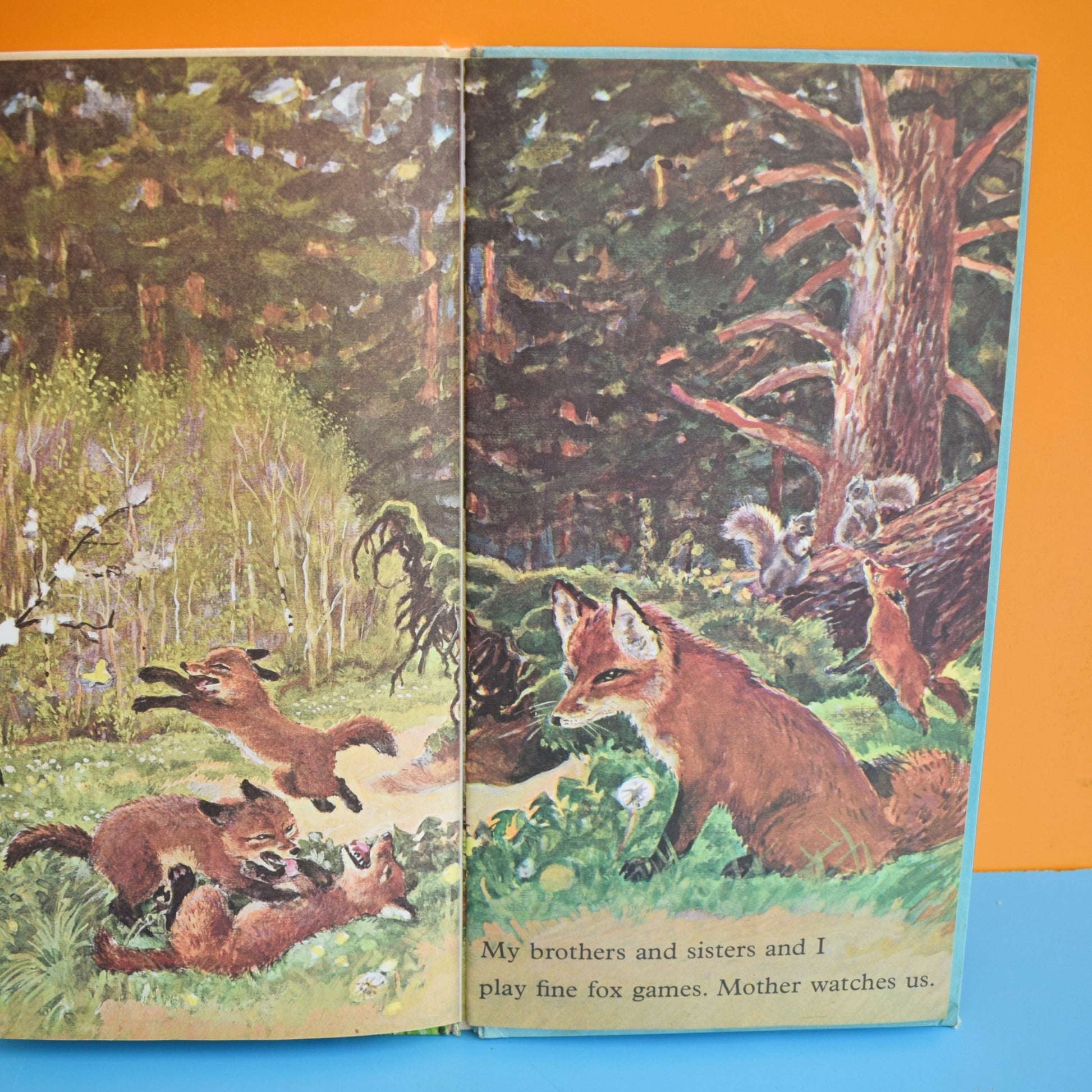 Vintage 1960s Books - I am A Fox / Mouse - Fab Illustrations by Pineapple Retro