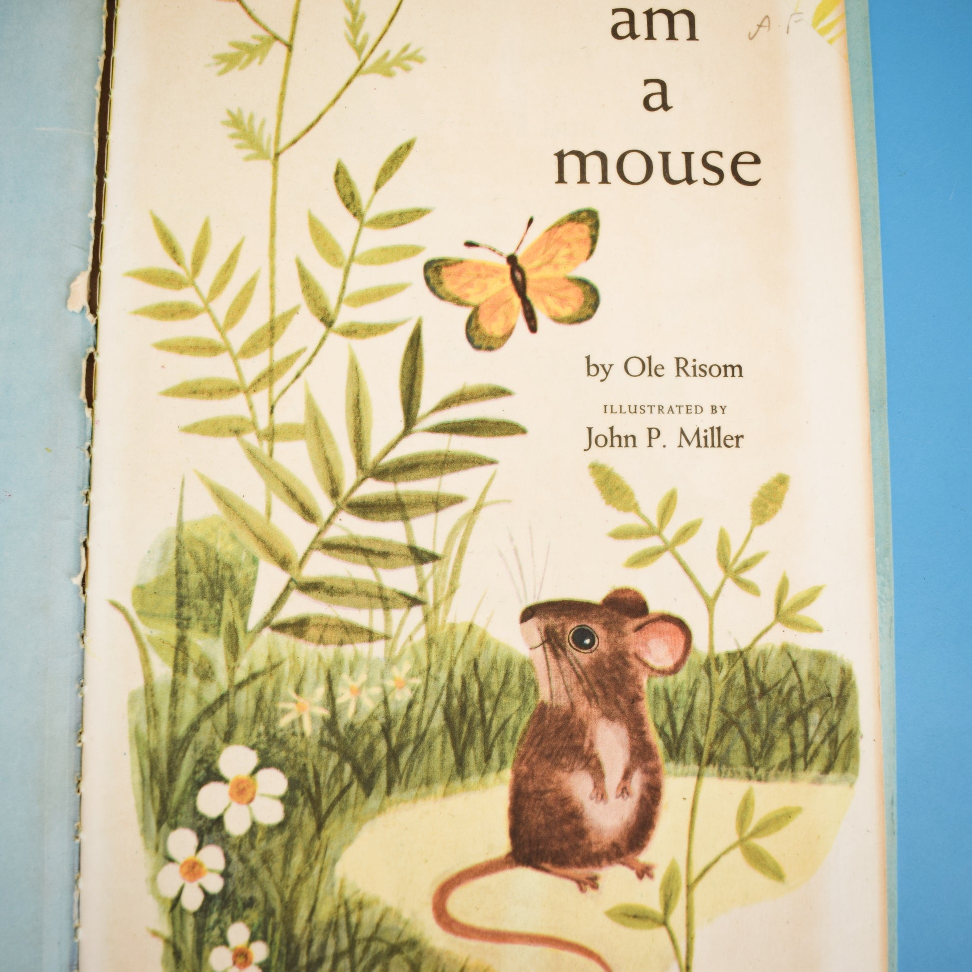 Vintage 1960s Books - I am A Fox / Mouse - Fab Illustrations by Pineapple Retro