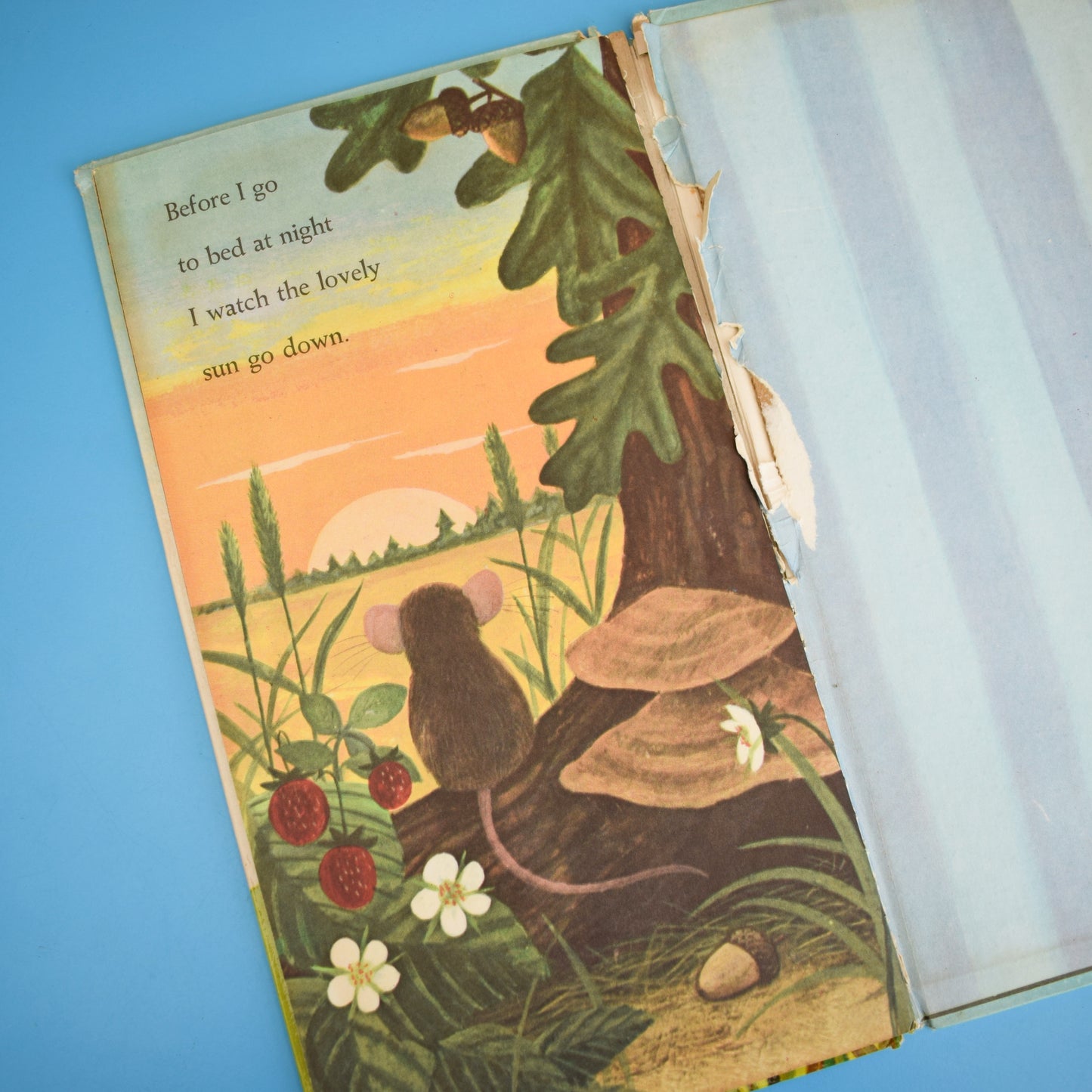 Vintage 1960s Books - I am A Fox / Mouse - Fab Illustrations by Pineapple Retro